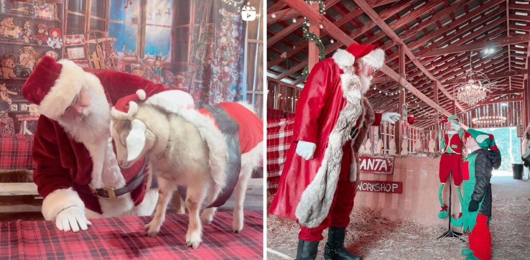 Farm Tour Santa Goat Workshop Children