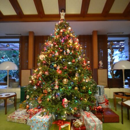 Abdow Tour Christmas Tree Gifts Decorations Living Room E