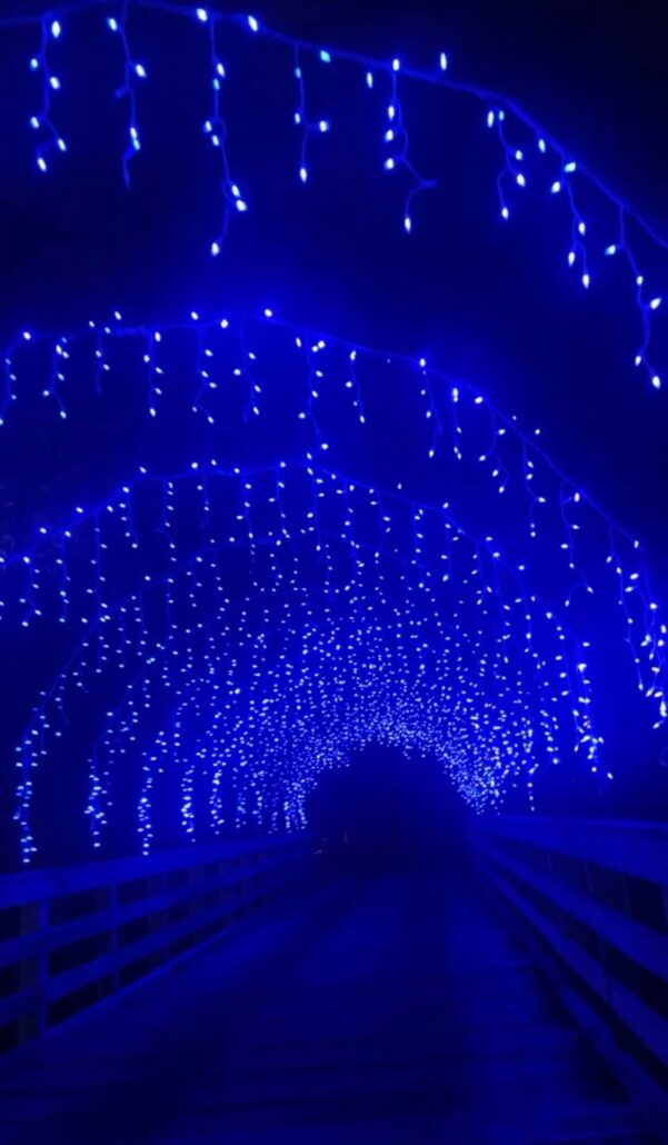 Adventuresightseeing Tour Blue Lights Bridge Night