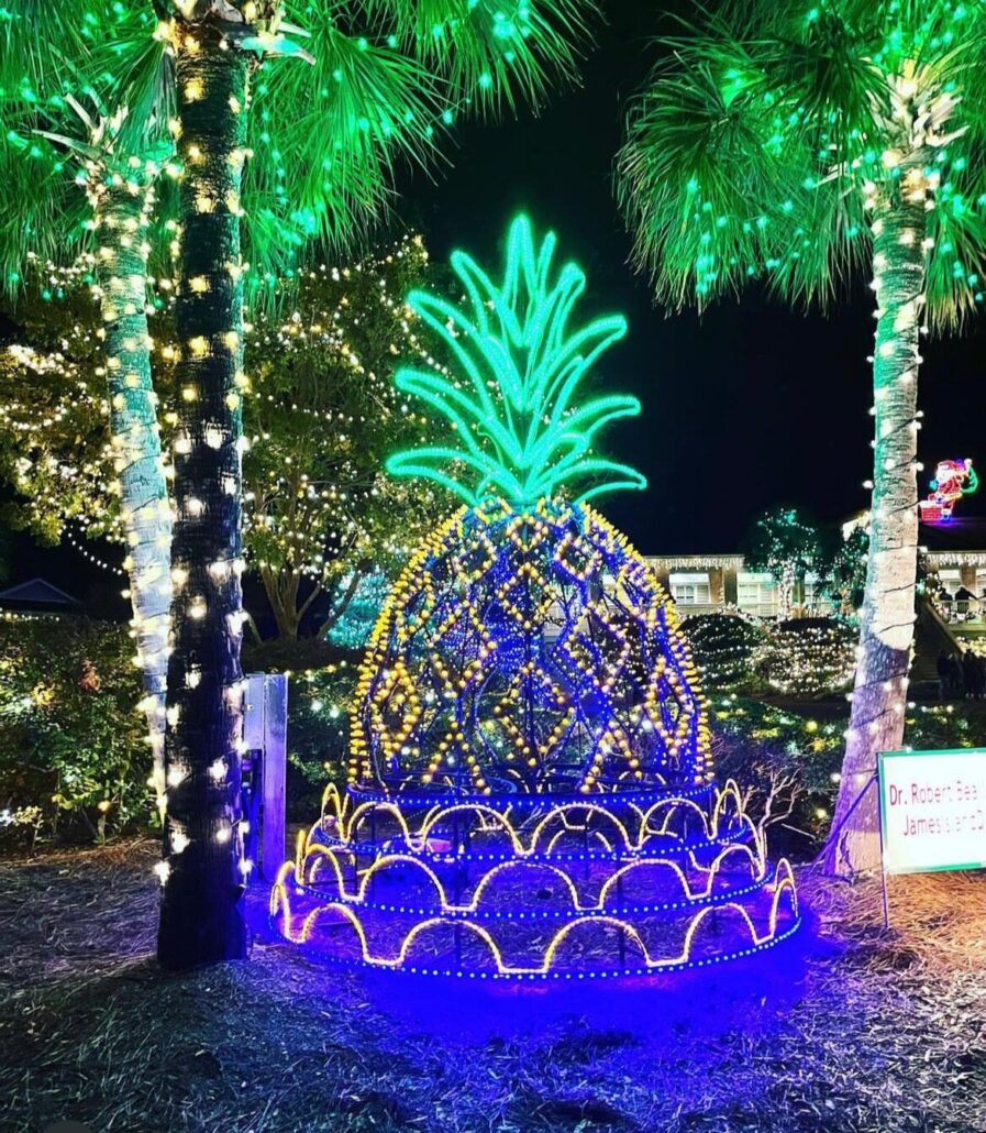 Adventuresightseeing Tour Pineapple Lights Palm Trees Night