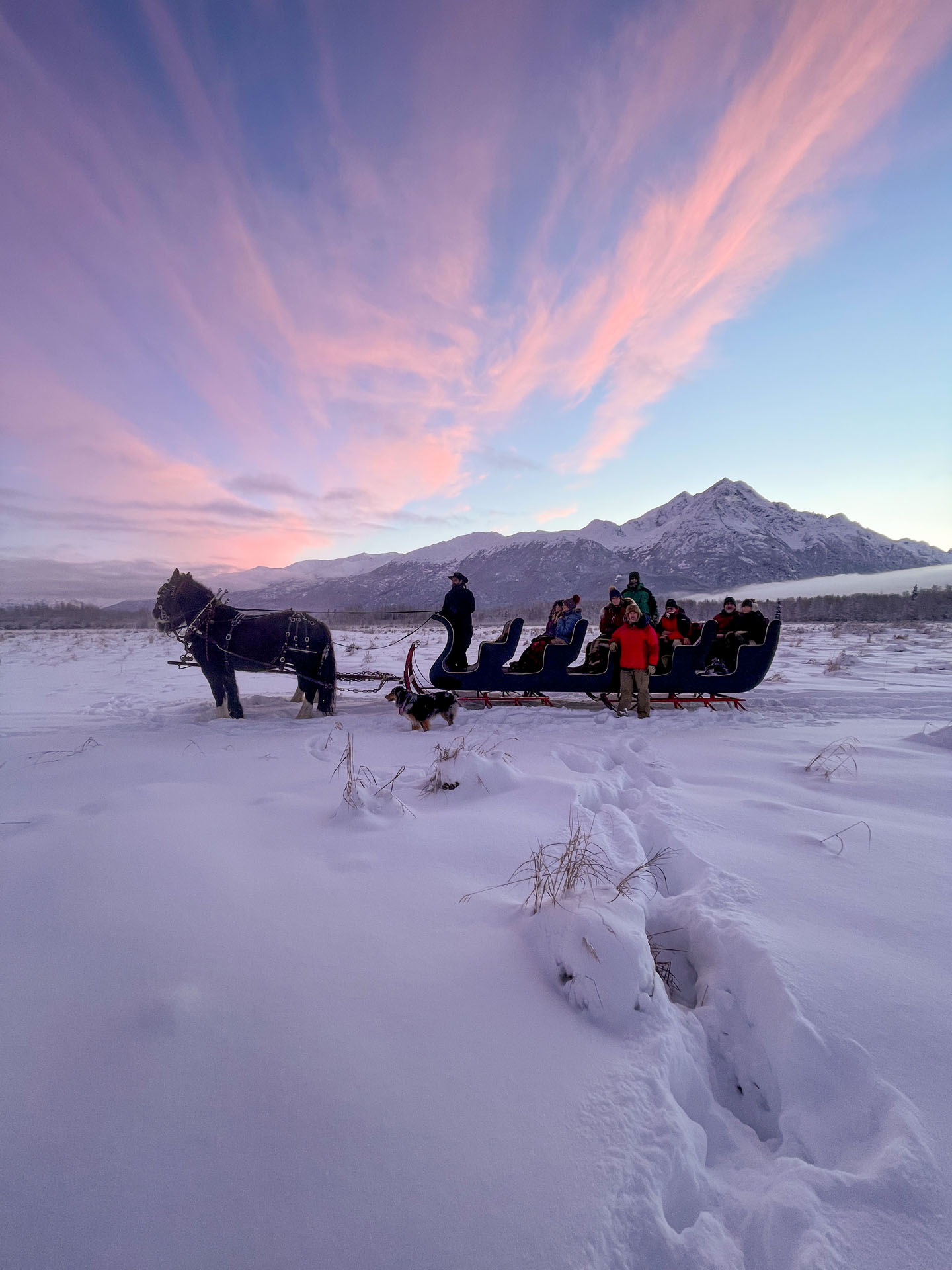 Alaskahorseadventures Tour Sleigh Ride Snowy Mountains Pink Sky