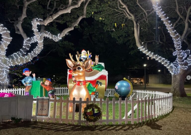 Andyoucreations Tour Holiday Decorations Reindeer Elves