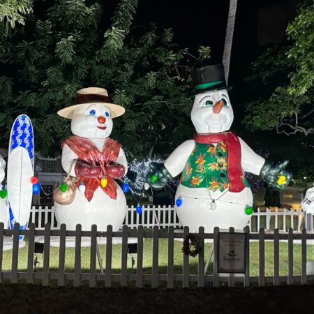 Andyoucreations Tour Snowmen Holiday Decorations Night