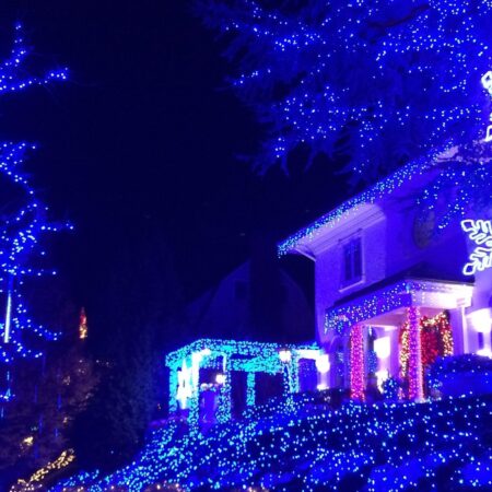 Asliceofbrooklyn Tour Blue Lights Snowflakes House