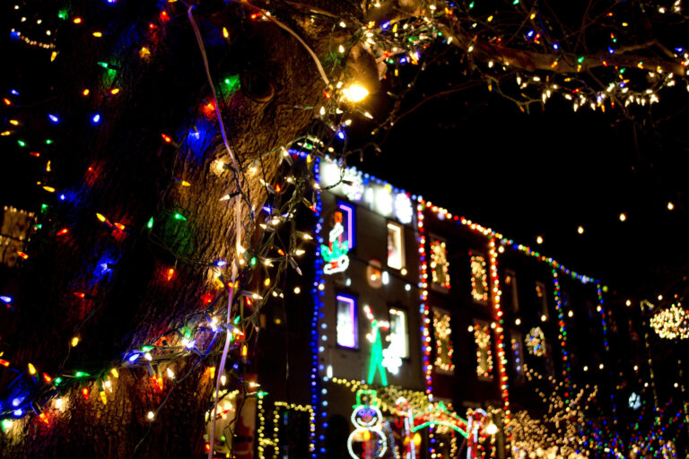 Awfullynicetours Tour Colorful Lights Decorated Tree Building