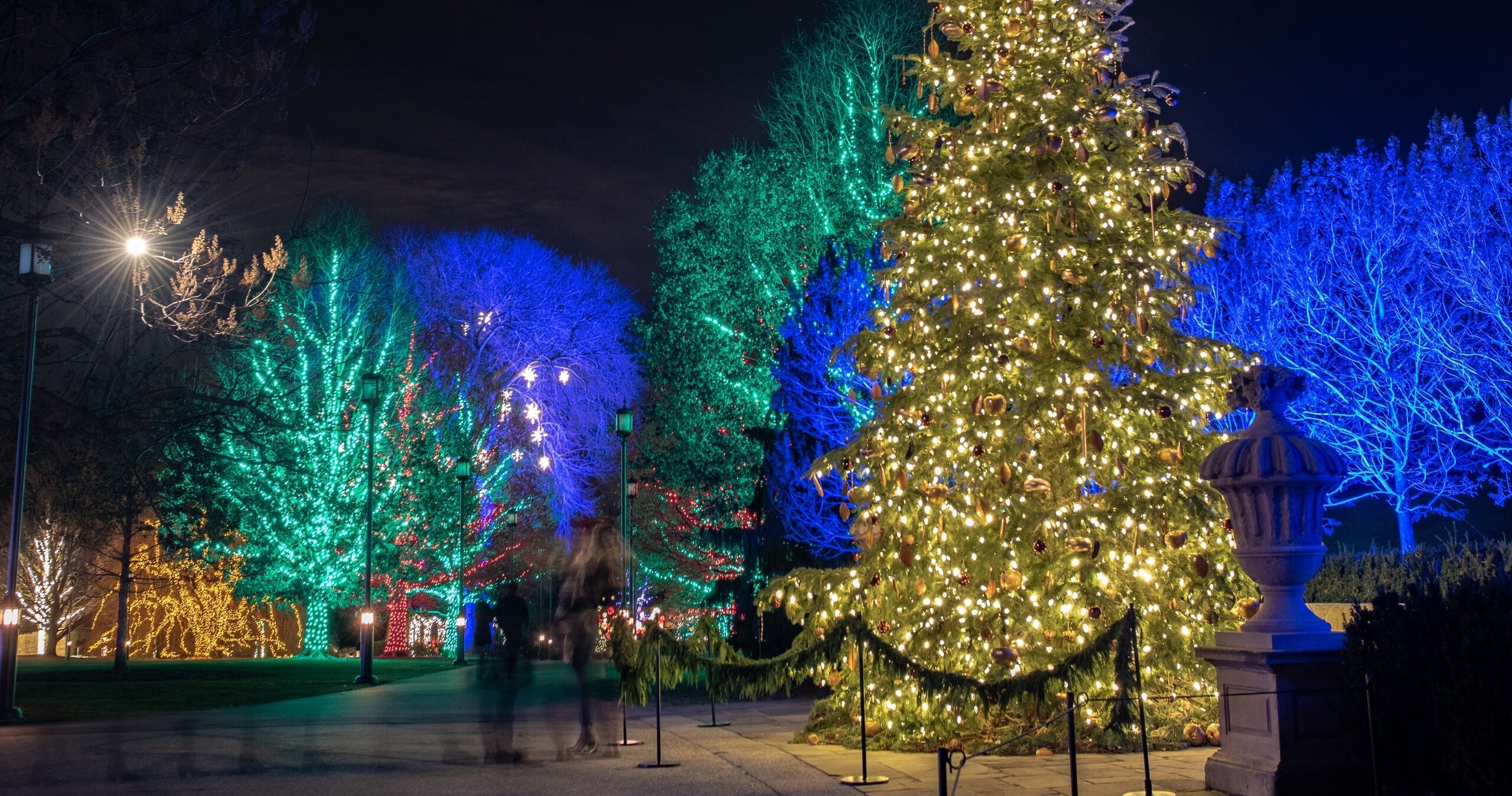 Awfullynicetours Tour Holiday Lights Christmas Tree Blue Trees