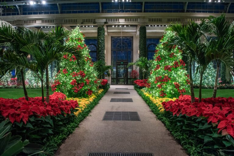 Awfullynicetours Tour Holiday Lights Poinsettias Indoor Garden