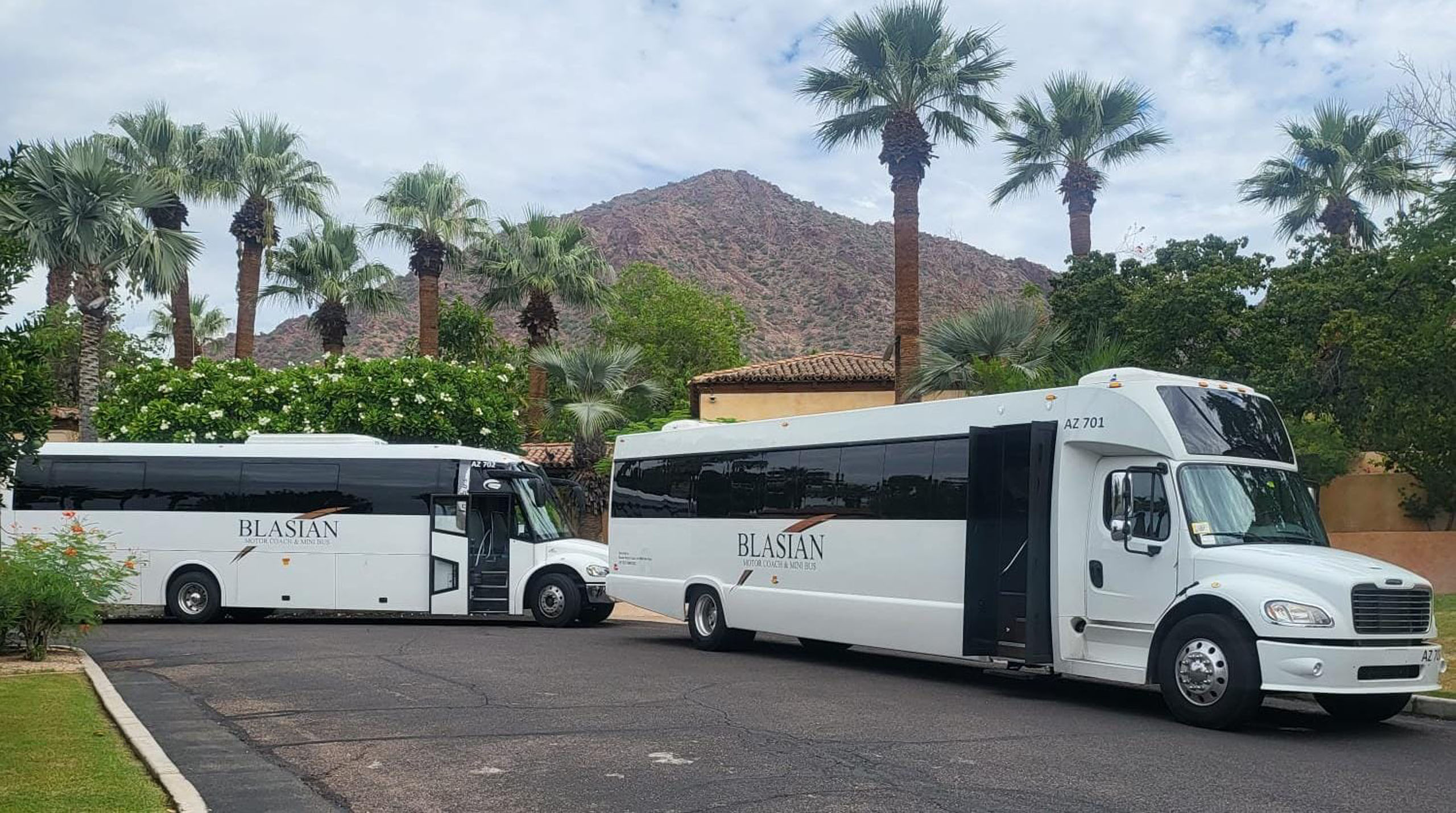 Blasianllc Tour Buses Palm Trees Mountain