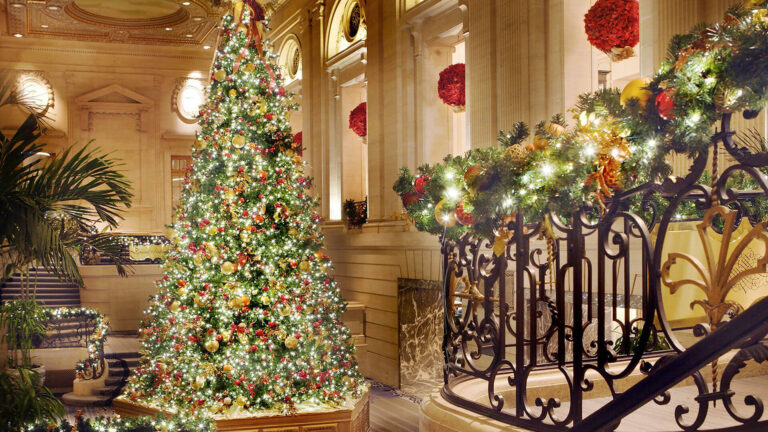 Bobbysbikehike Tour Christmas Tree Holiday Decorations Lobby