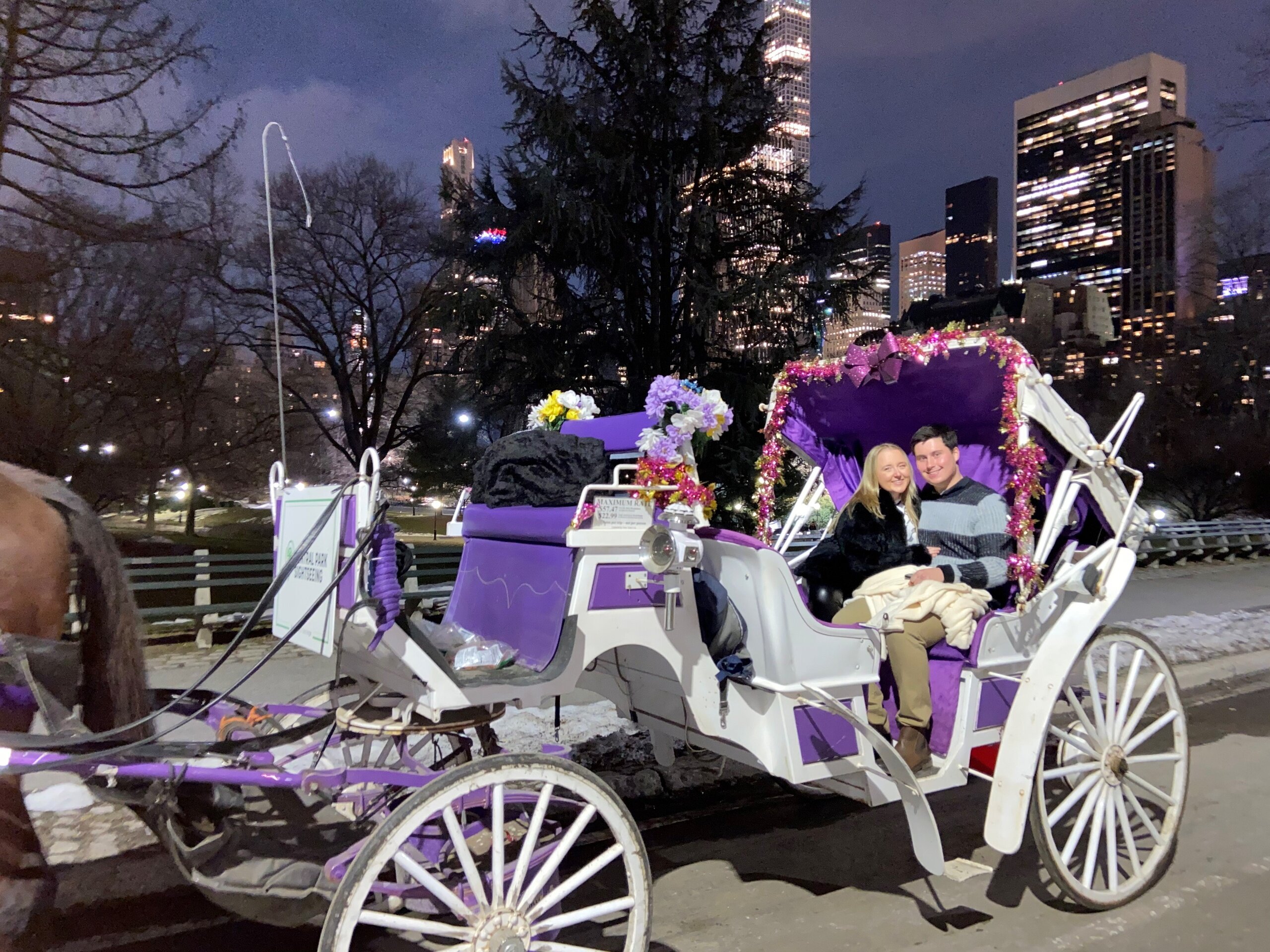 Centralparkhorsecarriageride Tour Carriage Ride Couple City Lights