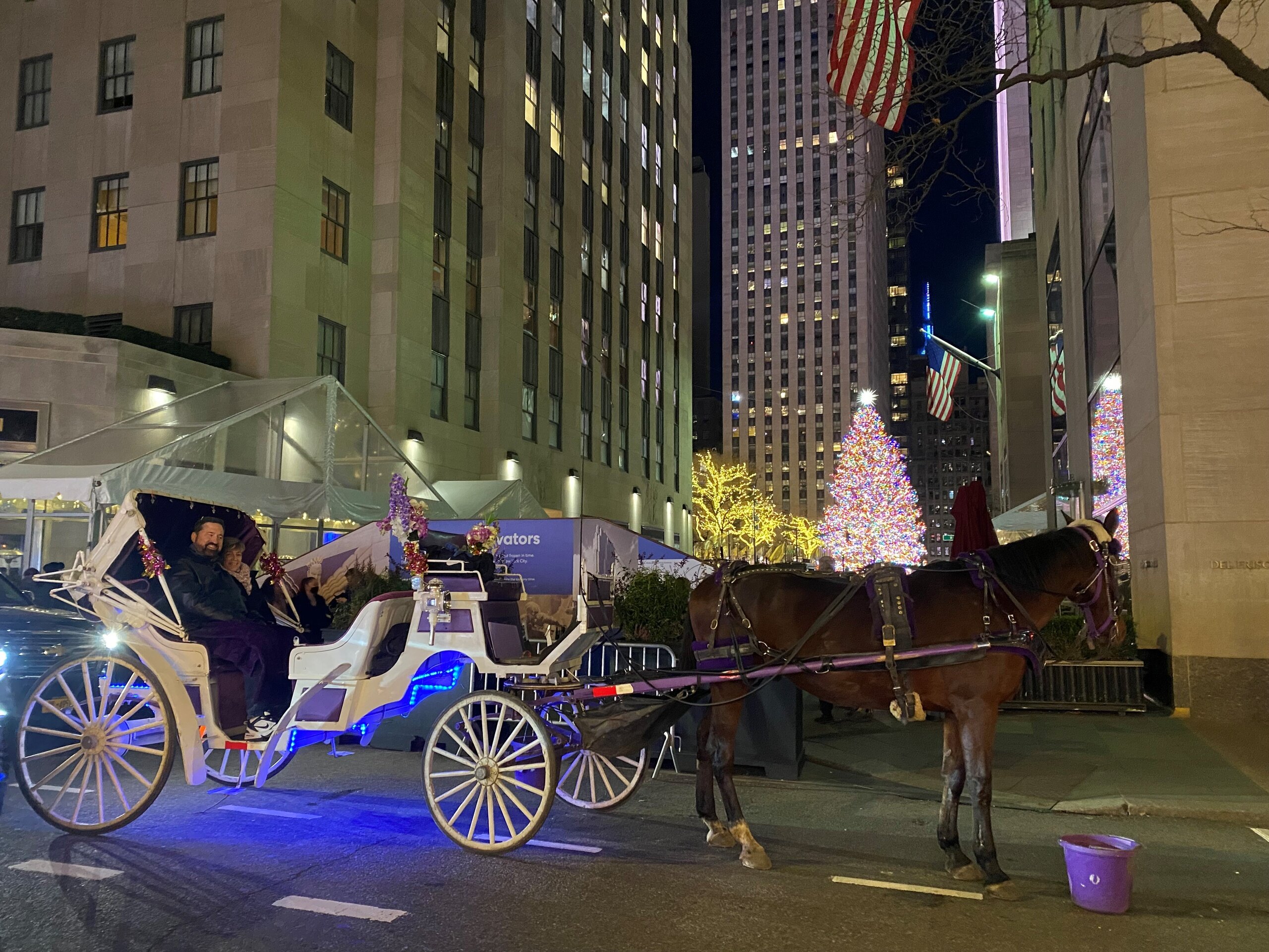 Centralparkhorsecarriageride Tour Carriage Ride Horse Downtown Lights