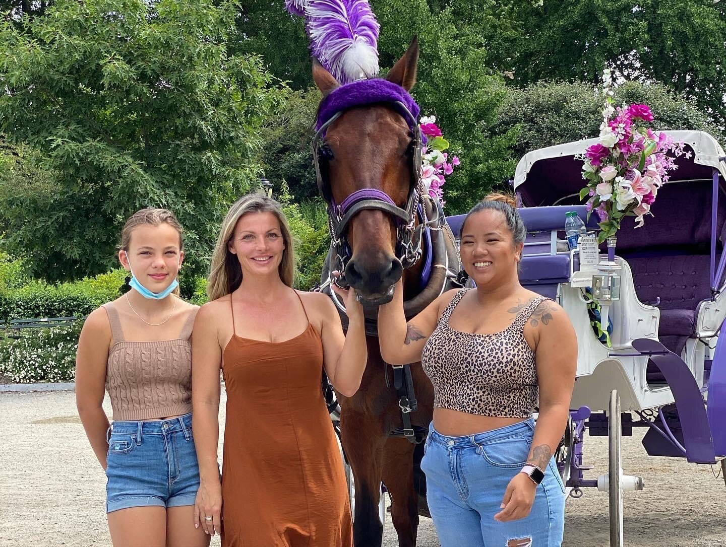 Centralparkhorsecarriageride Tour Carriage Ride Horse Women Flowers