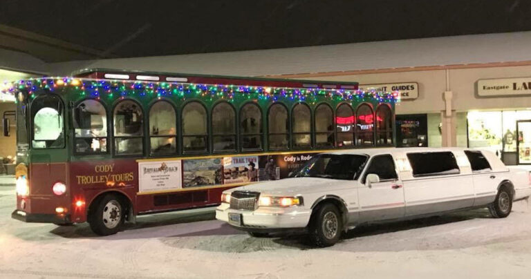 Codytrolleytours Tour Trolley Limo Snowy Night