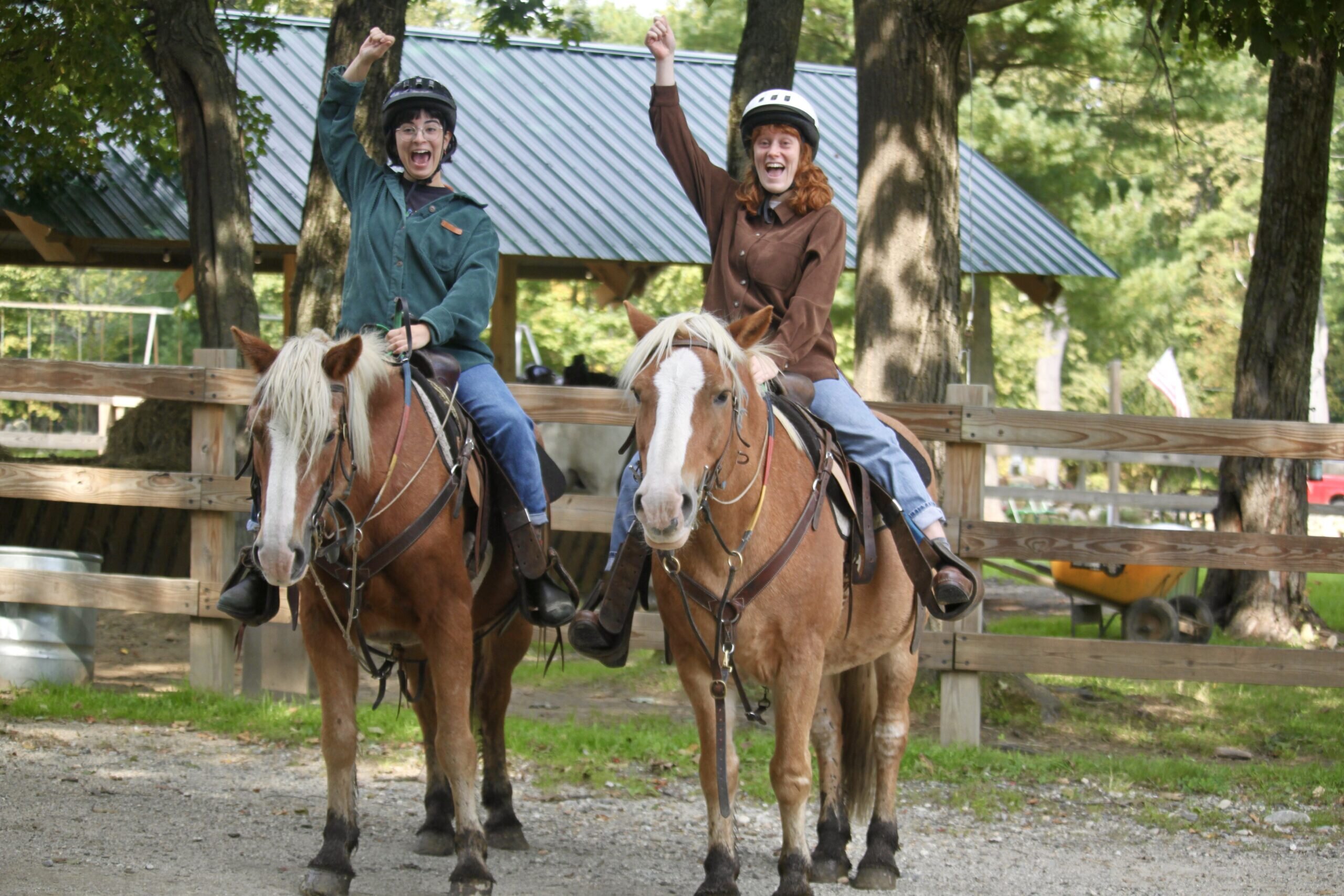 Cornerstoneranch Tour Sleigh Ride Horses Riders