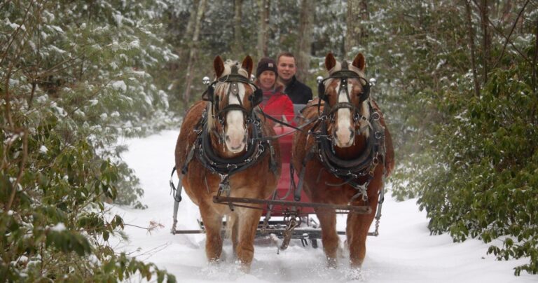 cornerstoneranch_tour-sleigh-ride-horses-snowy-path Cornerstoneranch Tour Sleigh Ride Horses Snowy Path