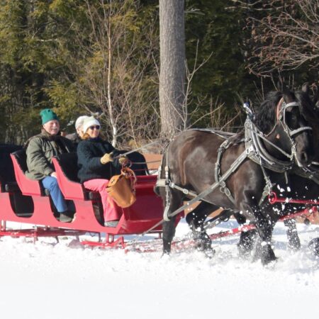 Cornerstoneranch Tour Sleigh Ride Snow Horses
