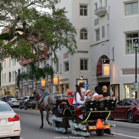 Countrycarriages Tour Sleigh Ride Horse Drawn Street