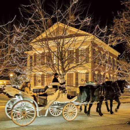 Dahlonegawalkingtours Tour Carriage Horses Christmas Lights Night