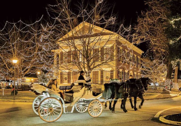 dahlonegawalkingtours_tour-carriage-horses-christmas-lights-night Dahlonegawalkingtours Tour Carriage Horses Christmas Lights Night