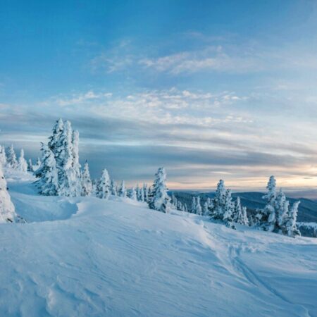 Dellstrolley Tour Snowy Trees Winter Landscape