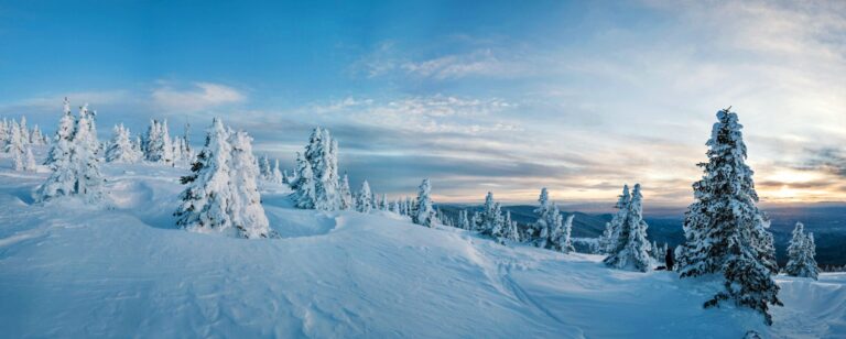 dellstrolley_tour-snowy-trees-winter-landscape Dellstrolley Tour Snowy Trees Winter Landscape