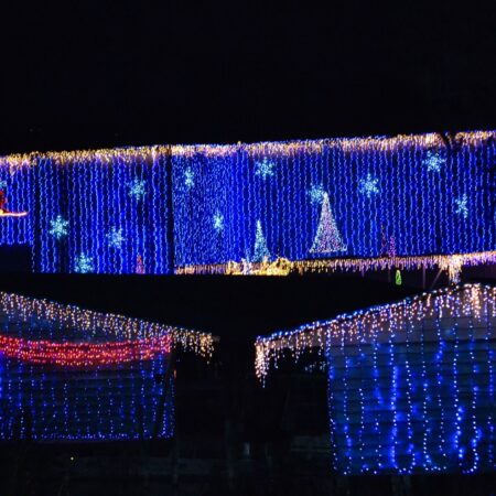 Doracanaltour Tour Holiday Lights Decorated Houses