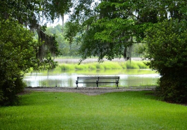 draytonhall_tour-bench-lake-grass-trees Draytonhall Tour Bench Lake Grass Trees
