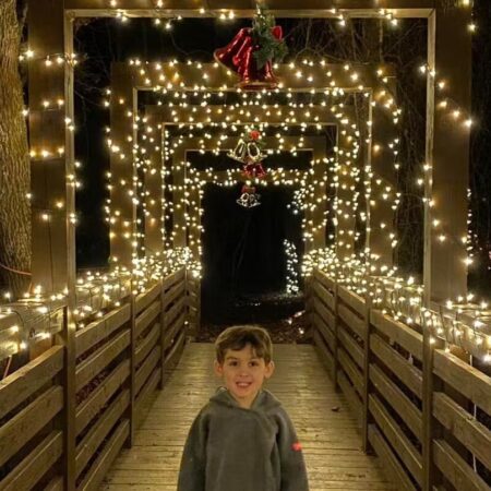 Dreamlandescapes Tour Lit Bridge Child Holiday Decorations