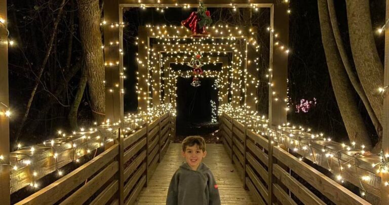 Dreamlandescapes Tour Lit Bridge Child Holiday Decorations