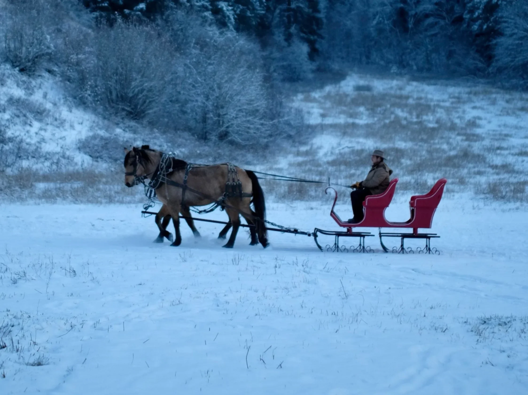 eaglecreeksleighrides_tour-horse-drawn-sleigh-snowy-landscape Eaglecreeksleighrides Tour Horse Drawn Sleigh Snowy Landscape