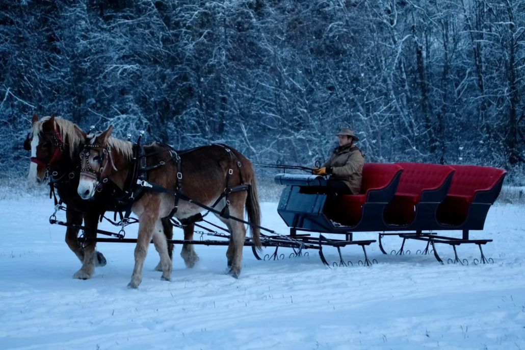 eaglecreeksleighrides_tour-sleigh-ride-horses-snow-3 Eaglecreeksleighrides Tour Sleigh Ride Horses Snow