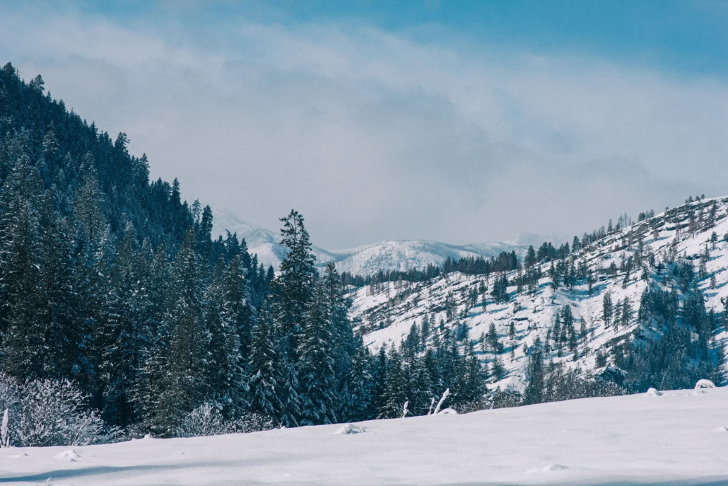 eaglecreeksleighrides_tour-snowy-mountains-evergreen-trees Eaglecreeksleighrides Tour Snowy Mountains Evergreen Trees