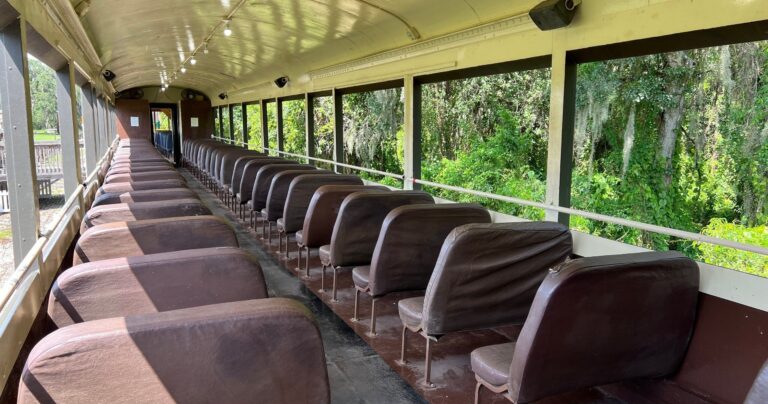 Frrm Tour Train Interior Brown Seats Nature