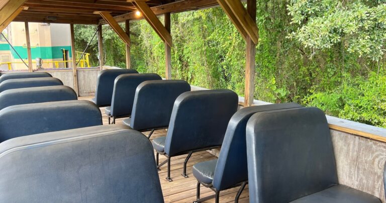 Frrm Tour Train Seats Wooden Structure Greenery