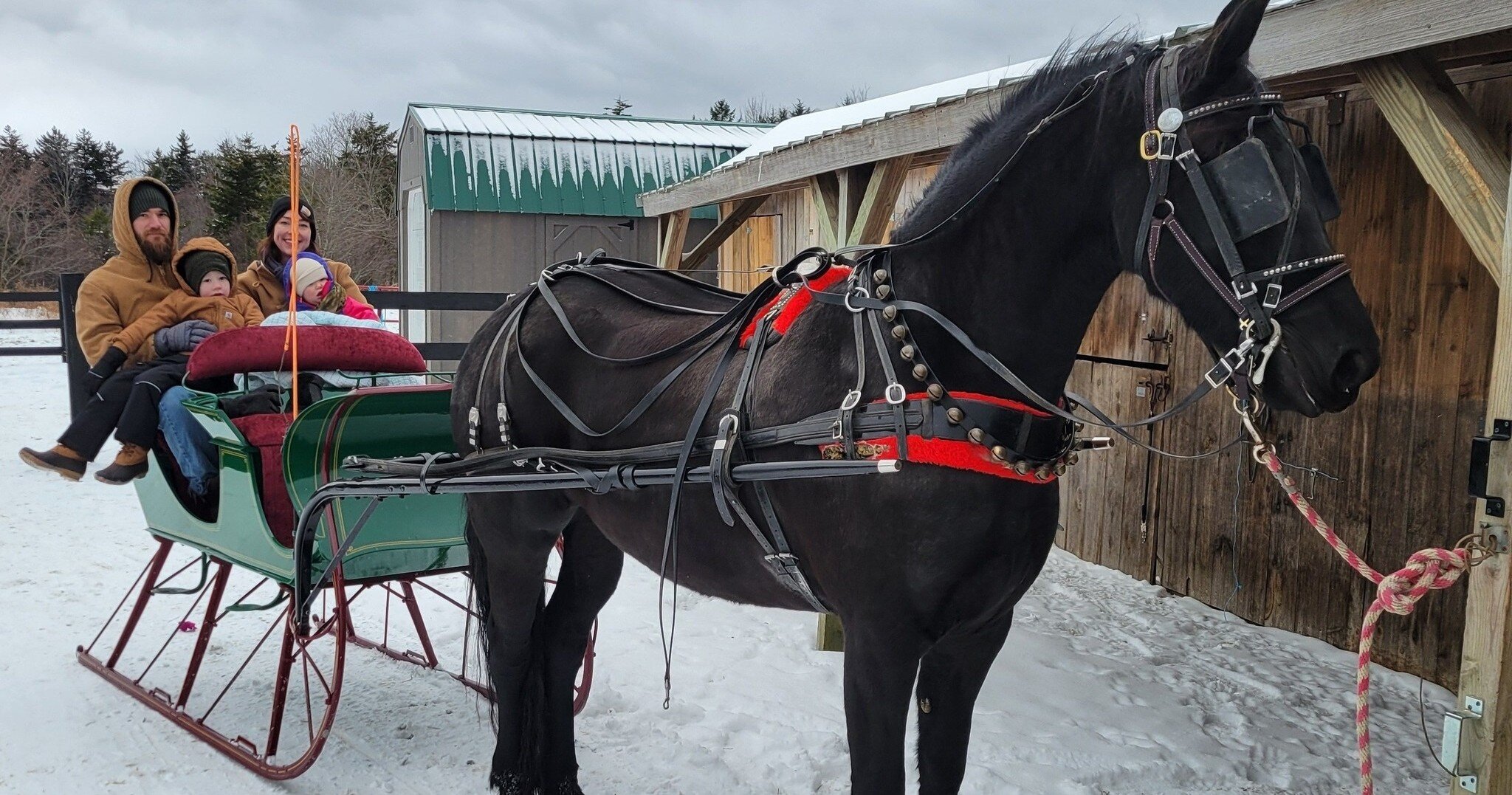 Sleigh & Carriage Rides | Snowshoe Mountain WV