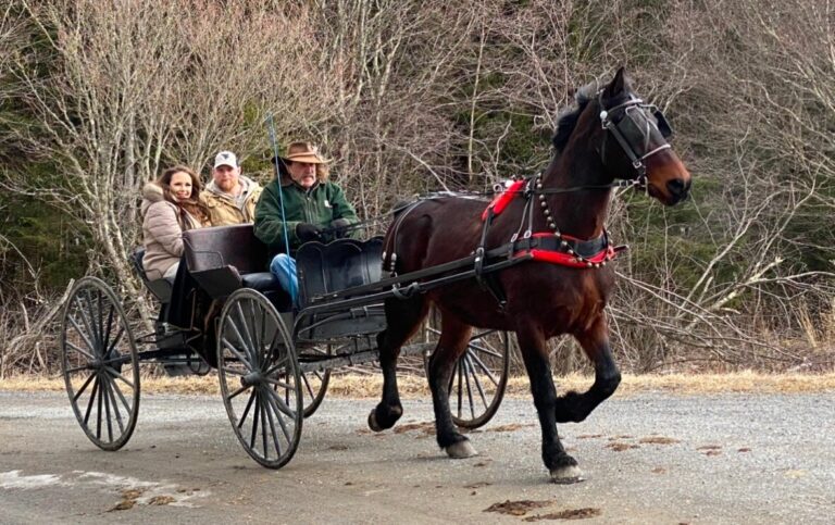 Gauley Tour Sleigh Ride Horse Drawn Carriage