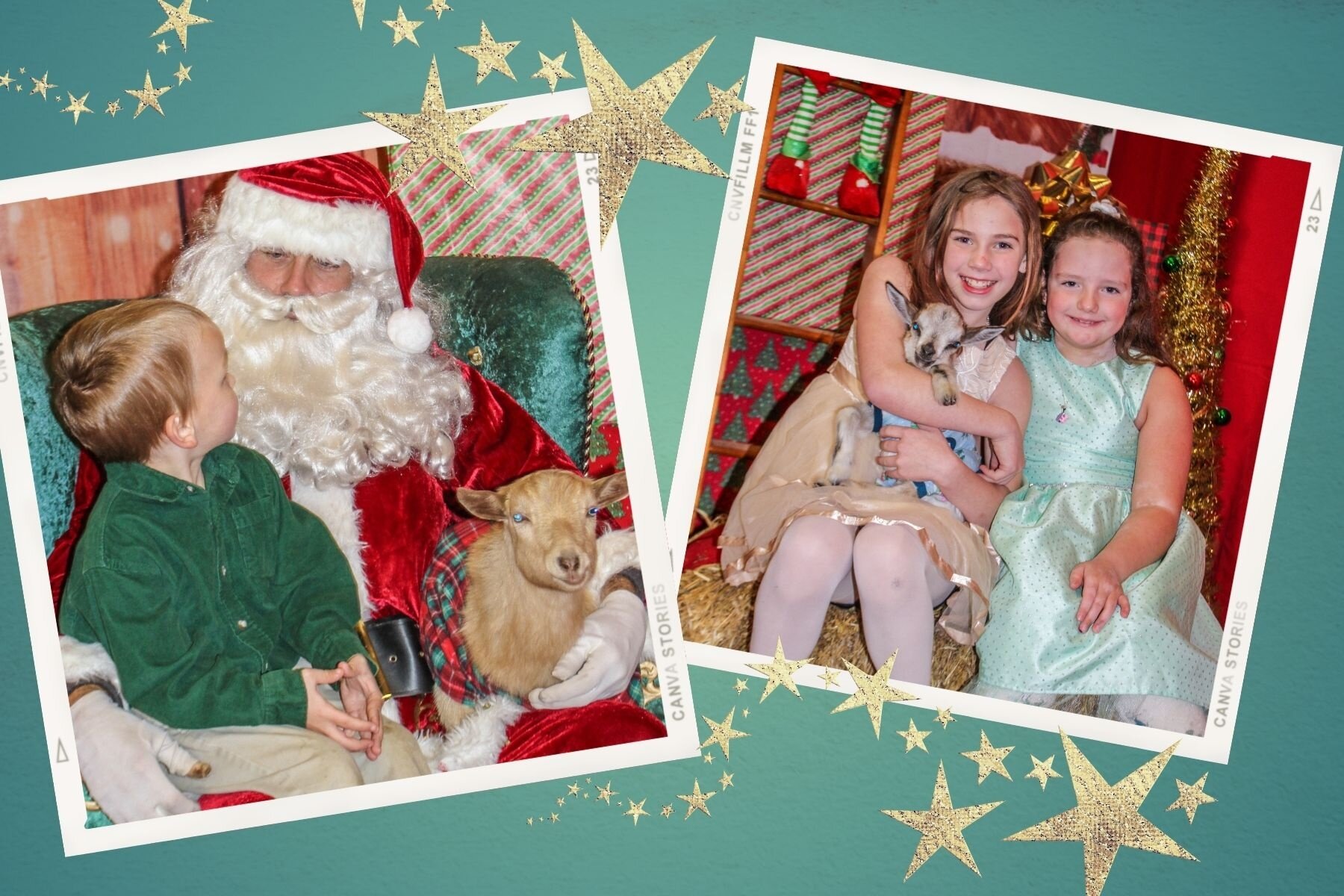 Goatyogarva Tour Santa Kids Goat Holiday