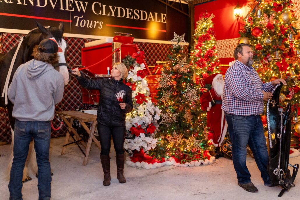 grandviewclydesdaletours_tour-clydesdale-sleigh-ride-christmas-decorations Grandviewclydesdaletours Tour Clydesdale Sleigh Ride Christmas Decorations