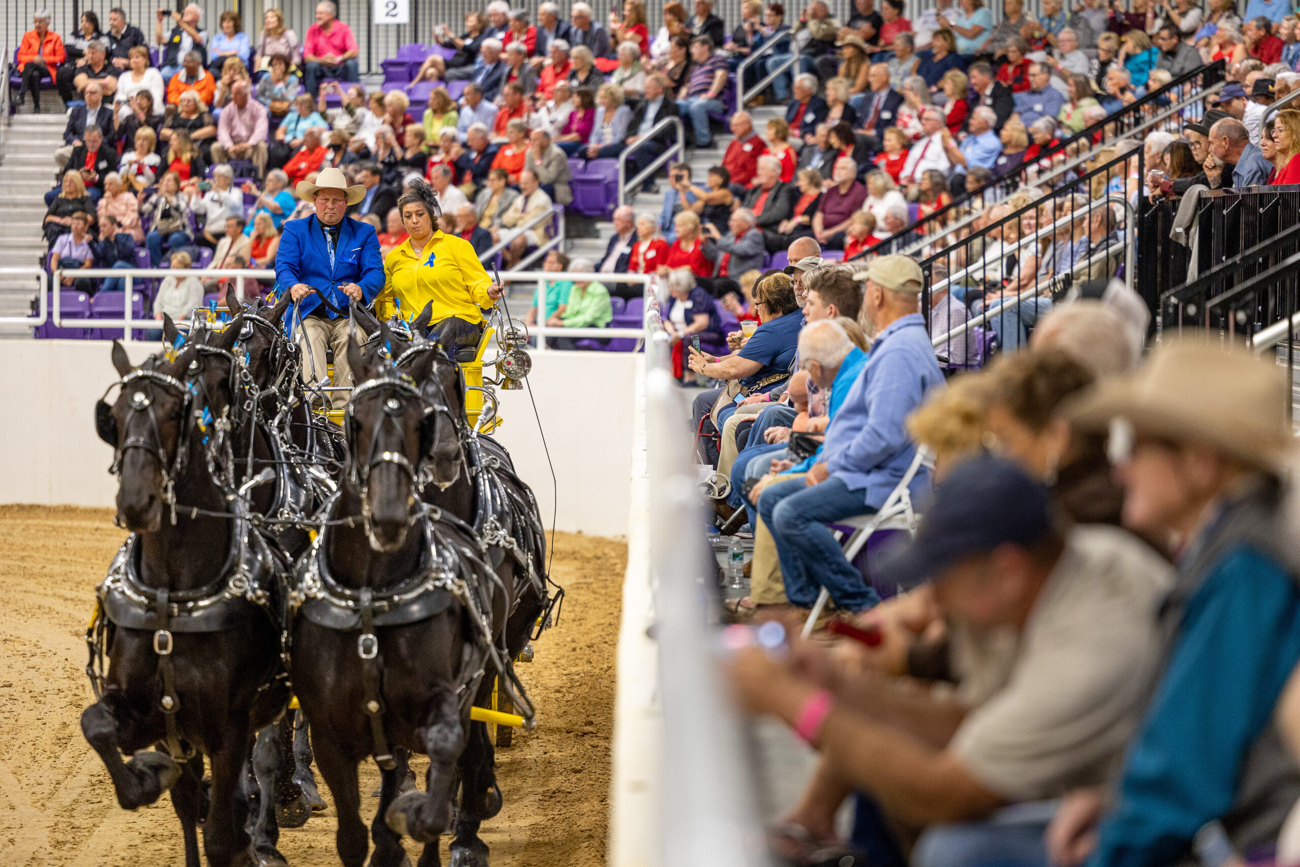 grandviewclydesdaletours_tour-sleigh-ride-horses-audience-event Grandviewclydesdaletours Tour Sleigh Ride Horses Audience Event