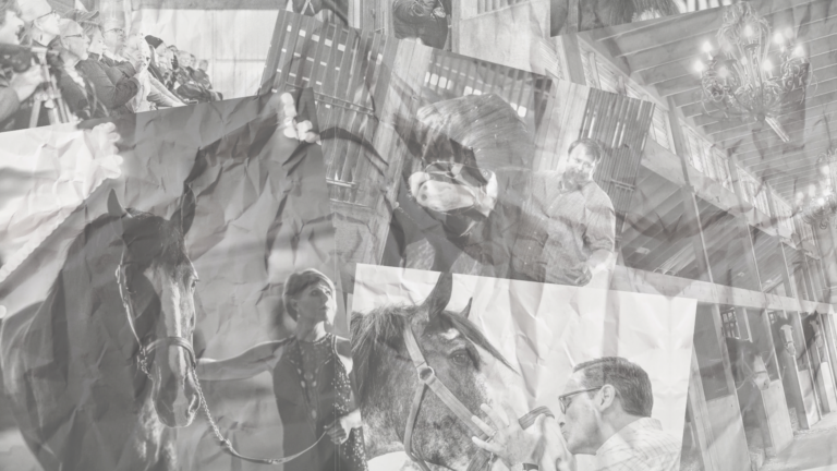 grandviewclydesdaletours_tour-sleigh-ride-horses-barn Grandviewclydesdaletours Tour Sleigh Ride Horses Barn