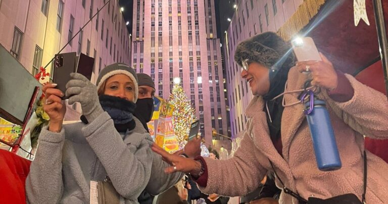 Horsecarriage Tour Carriage Ride Holiday Lights