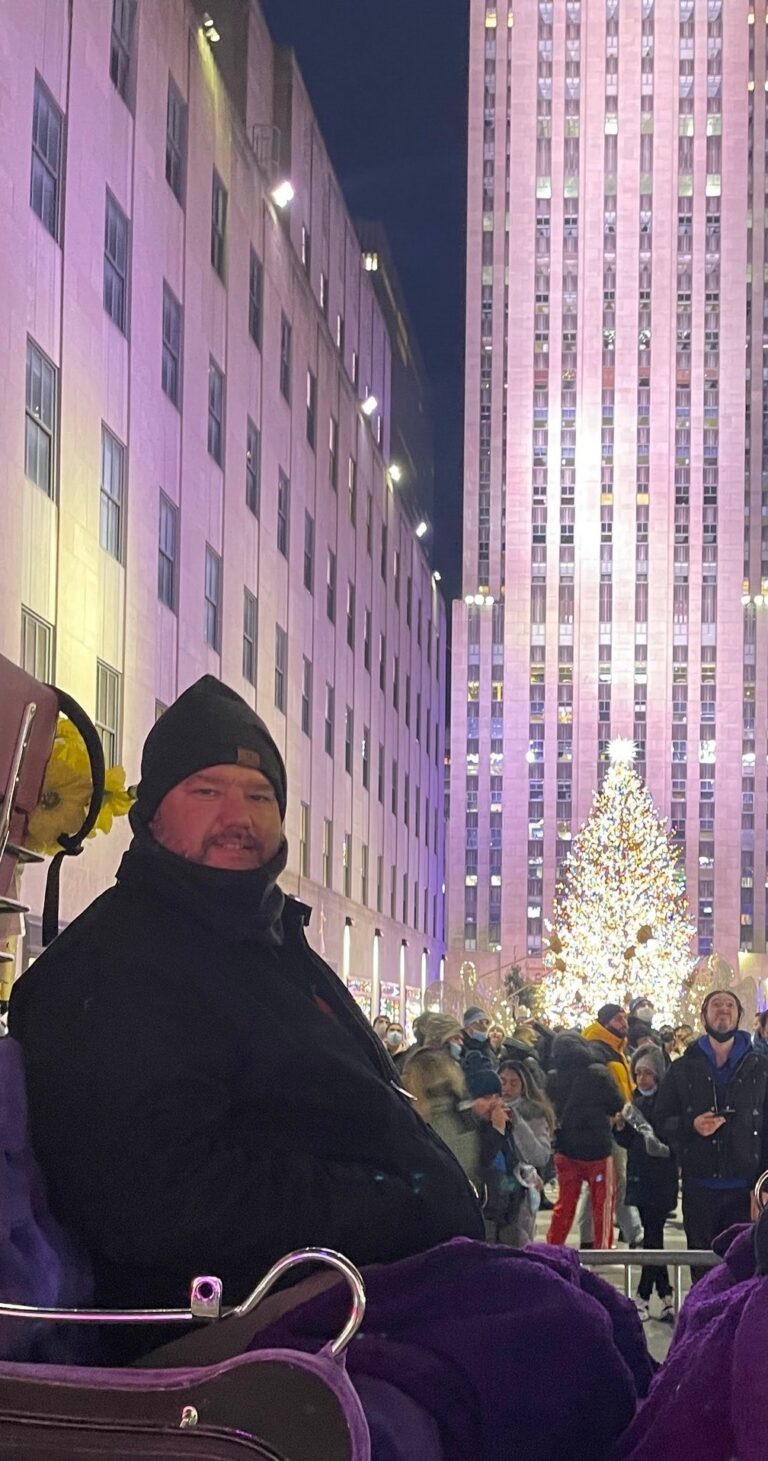 Horsecarriage Tour Carriage Ride Holiday Tree City Lights