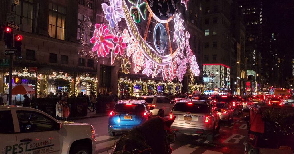 Horsecarriage Tour Carriage Ride Nighttime City Lights