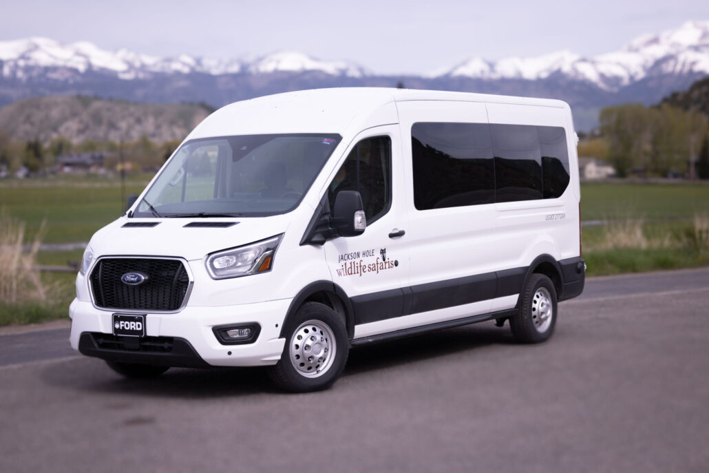Jacksonholewildlifetours Tour White Van Mountains Grass