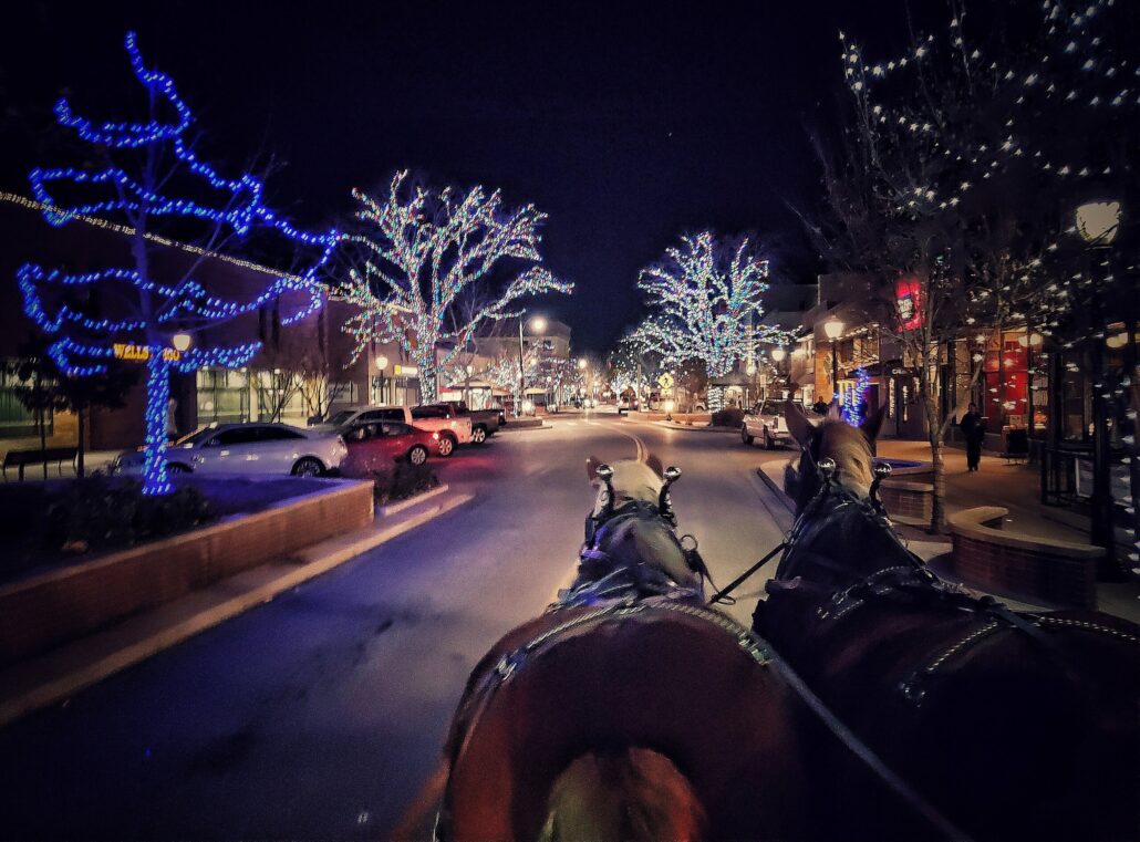 Jrscarriage Tour Carriage Ride Horses Lit Trees