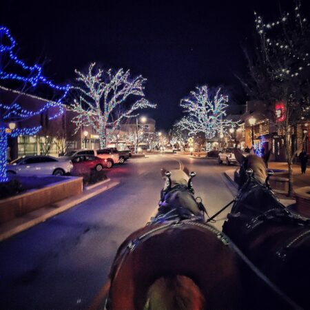Jrscarriage Tour Carriage Ride Horses Lit Trees
