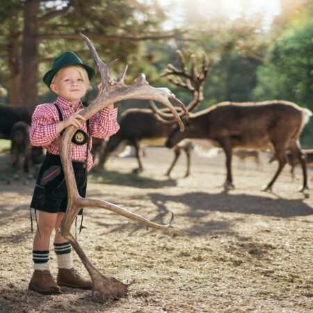 Leavenworthreindeer Tour Boy Antlers Reindeer Farm