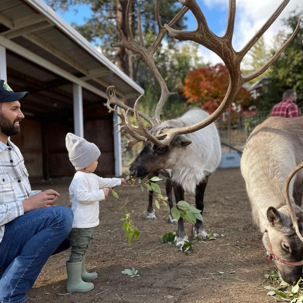 leavenworthreindeer_tour-child-feeding-reindeer-farm Leavenworthreindeer Tour Child Feeding Reindeer Farm