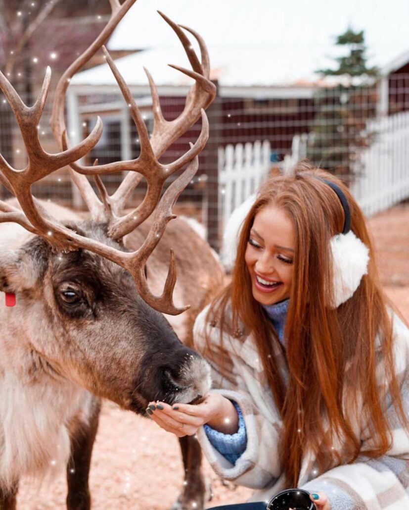 leavenworthreindeer_tour-reindeer-farm-girl-winter Leavenworthreindeer Tour Reindeer Farm Girl Winter