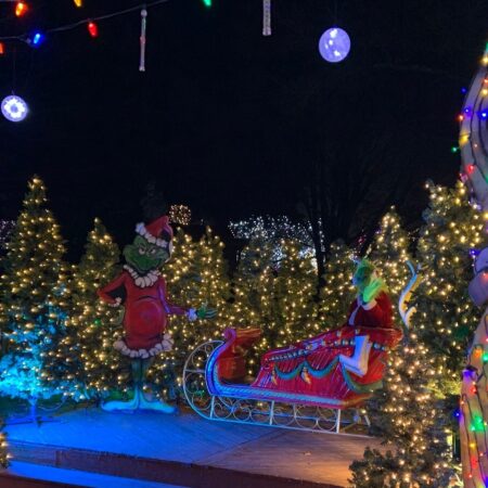 Lehighvalleyzoo Tour Grinch Santa Sleigh Christmas Lights